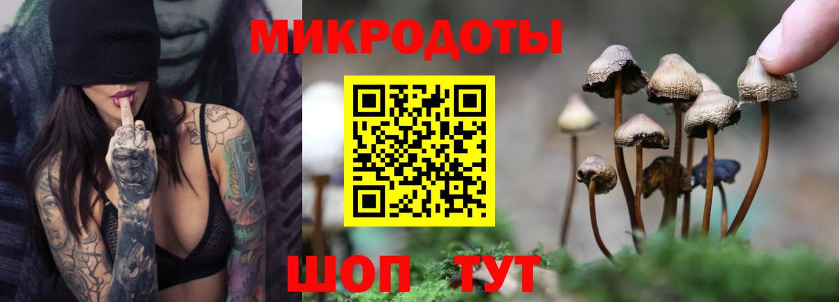 Галлюциногенные грибы Psilocybe  купить  сайты  Галлюциногенные грибы мицелий  Новый Уренгой  Вход с VPN 